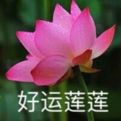 代号海文星官方版下载